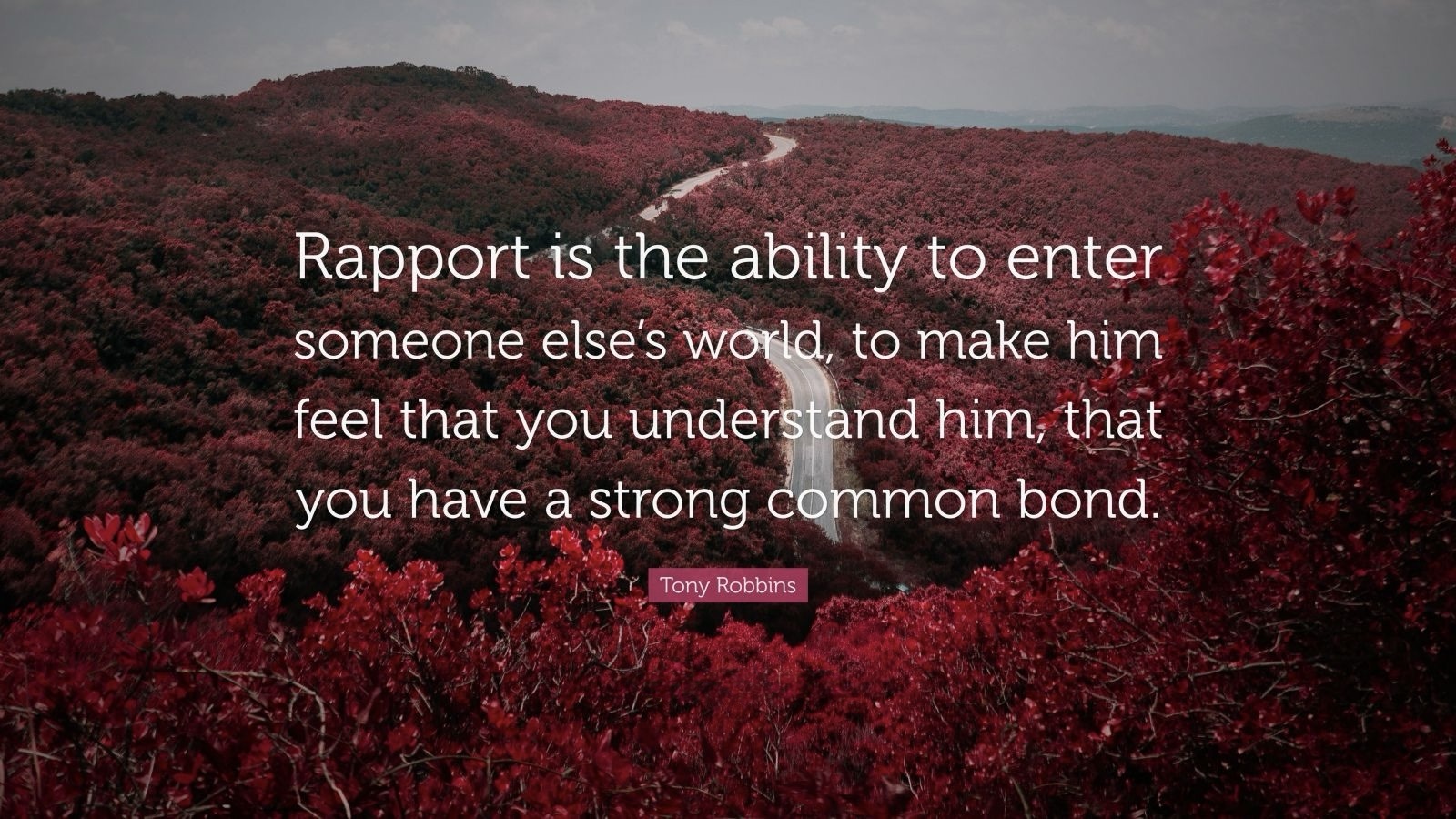 Build Rapport Leadership Building Rapport: The Secret to Effective Team Leadership | Lead Today